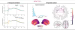 Temporally Defined Brain Network Activation Associated With Slowed Information Processing Speed in Multiple Sclerosis.
