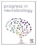 Neuronal activity and NIBS in developmental myelination and remyelination - Current state of knowledge.